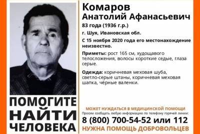 В Ивановской области пропал престарелый мужчина в черных валенках