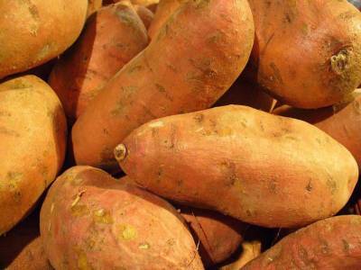 Учёные рассказали о преимуществе батата перед обычным картофелем