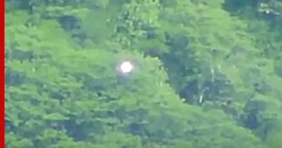 На видео сняли странный светящийся шар, парящий над лесом в Мексике