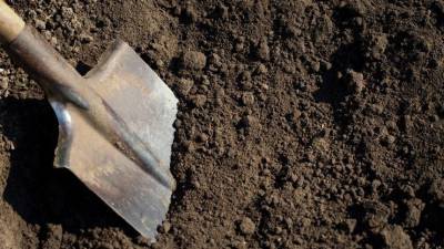 Видео с места обнаружения закопанного по голову тела женщины в Петербурге