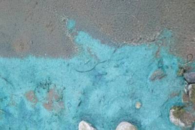 Воду и камни цвета «вырви глаз» обнаружили на Чудском озере