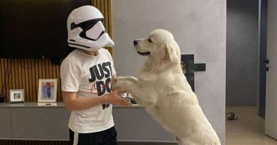 Лидер “Динамо” в маске штурмовика из “Звездных Войн” получил поздравления с днем рождения от своей собаки