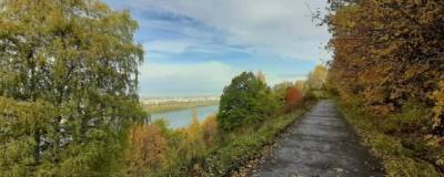 В парке «Швейцария» в Нижнем Новгороде могут появиться экзотические деревья