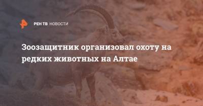 Зоозащитник организовал охоту на редких животных на Алтае