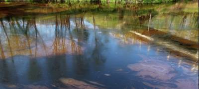 Нефтепродукты попали в реку Муезерка в Карелии после аварии с лесовозом на аварийном мосту