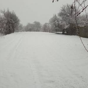 В трех областях Украины сегодня выпал первый снег. Фото