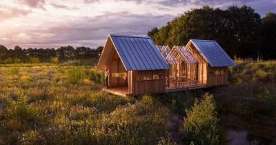 ФОТО. Слиться с природой: современный деревянный дом с прозрачными стенами и крышей