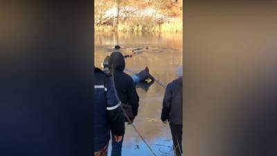 "Мужик, давай!": последние минуты жизни провалившегося под лед рыбака сняли на видео