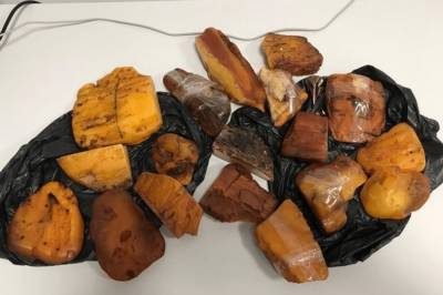 Житель Ровно пытался вывезти более пяти кг янтаря в арабскую страну