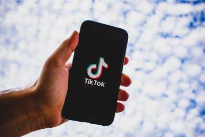 TikTok починит интернет студенту, который стримит с вершины березы - Cursorinfo: главные новости Израиля