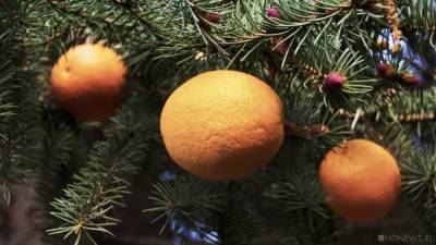 В школах Симферополя запретили новогодние праздники