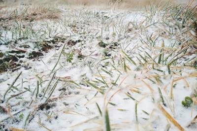 Мороз и снег с дождем: синоптики рассказали, какой будет погода в Украине 17 ноября