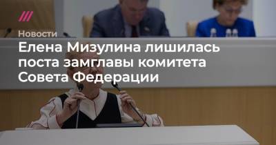 Елена Мизулина лишилась поста замглавы комитета Совета Федерации