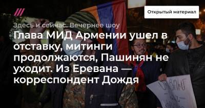 Глава МИД Армении ушел в отставку, митинги продолжаются, Пашинян не уходит. Из Еревана — корреспондент Дождя