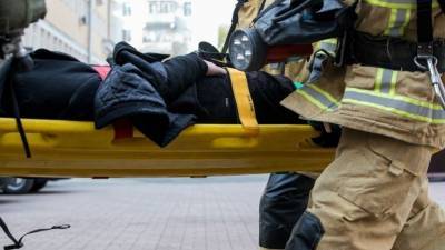 Взрослый и ребенок погибли в крупном пожаре в Подмосковье — видео