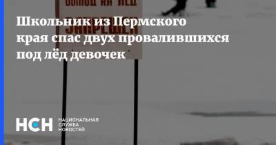 Школьник из Пермского края спас двух провалившихся под лёд девочек
