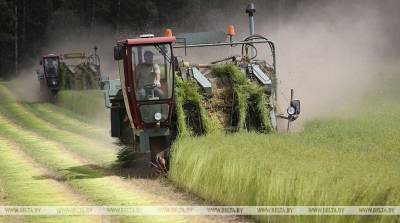 Сельхозпроизводство составляет около 6% ВВП Беларуси