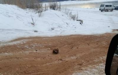 В Иркутской области засыпали обледенелую дорогу песком с человеческими останками