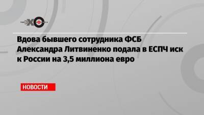 Вдова бывшего сотрудника ФСБ Александра Литвиненко подала в ЕСПЧ иск к России на 3,5 миллиона евро