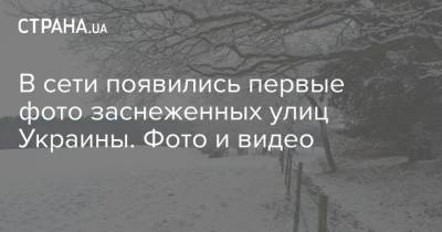 В сети появились первые фото заснеженных улиц Украины. Фото и видео