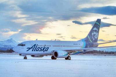 Аиалайнер столкнулся с медведем при посадке в аэропорту Аляски
