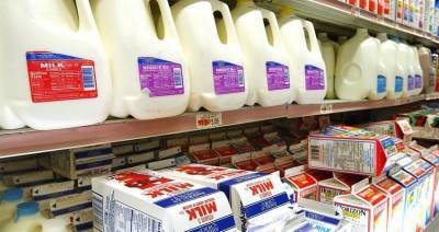 Что будет с американской молочной отраслью после выборов президента?