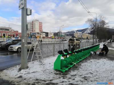 Южно-сахалинские депутаты не дают легализовать электровелопрокат