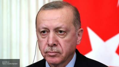 Эрдоган из-за занятости не стал встречаться с госсекретарем США