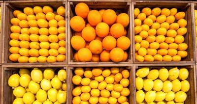 Специалисты назвали самые полезные цитрусовые фрукты