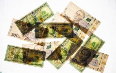 НБУ на 17 ноября немного снизил официальный курс доллара