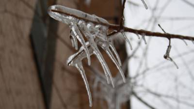Москвичей предупредили о ледяном дожде к выходным