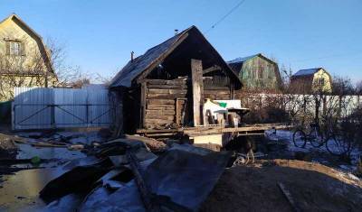«Прямых угроз не было». В Башкирии едва не сгорела активистка после собрания в СНТ