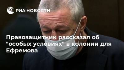 Правозащитник рассказал об "особых условиях" в колонии для Ефремова