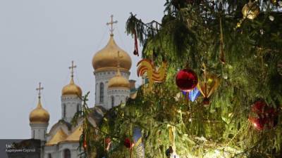 Стало известно, где срубят главную новогоднюю елку России