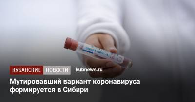 Мутировавший вариант коронавируса формируется в Сибири