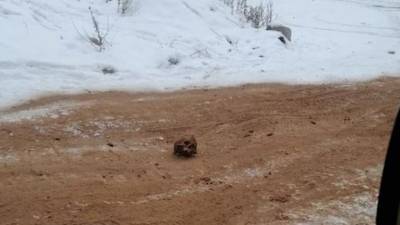 СК: дорогу в Киренске посыпали песком с кладбища времен Гражданской войны