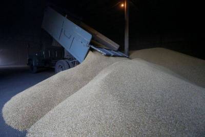 Аналитики АПК-Информ снизили прогноз урожая и экспорта украинского зерна
