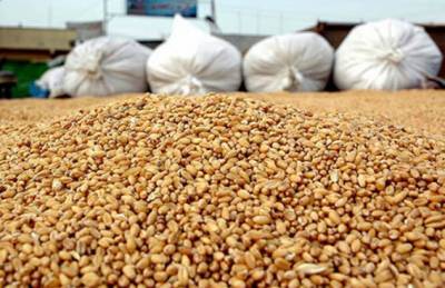 Прогноз: Экспорт зерновых останется на уровне топ-5 урожаев за последний период