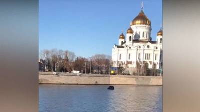 Машина пробила ограждение и упала в Москву-реку в центре столицы