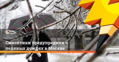Синоптики предупредили о ледяных дождях в Москве