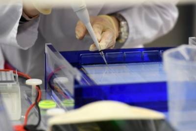 Эксперт: "сибирские" мутации коронавируса требуют дальнейшего изучения