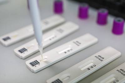 Массовое тестирование на коронавирус проведут в Австрии в декабре