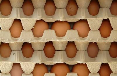 Экспорт яиц из Украины сократился на 18%