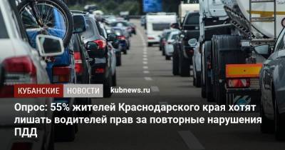 Опрос: 55% жителей Краснодарского края хотят лишать водителей прав за повторные нарушения ПДД