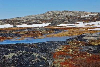 Под островом Гренландия ученые нашли гигантскую «темную» реку