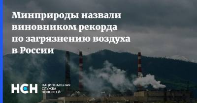 Минприроды назвали виновником рекорда по загрязнению воздуха в России