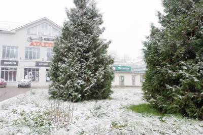 Жители Псковской области делятся фотографиями первого снега