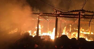 В Харьковской области заживо сгорели 50 свиней (ФОТО)