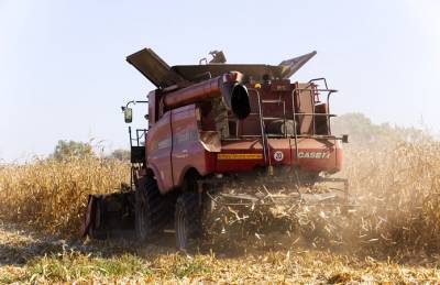 Украинские аграрии обмолотили около 80% кукурузы