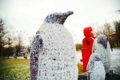 Пингвины поселились в Нижнем парке Липецка